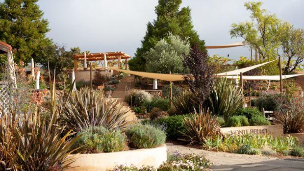 Ridge Vineyards – Monte Bello - Image 1